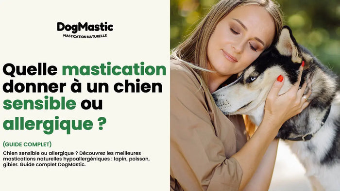Friandises Chien hypoallergénique