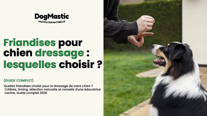 friandises pour chien dressage
