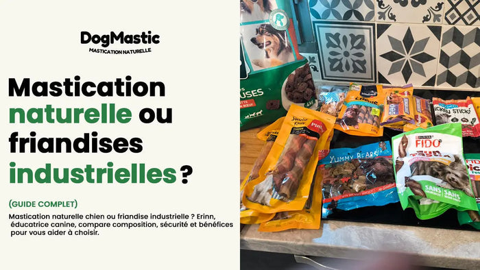 mastication naturelle chien