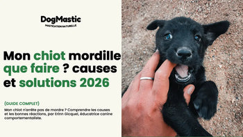 mon chiot n'arrête pas de mordre