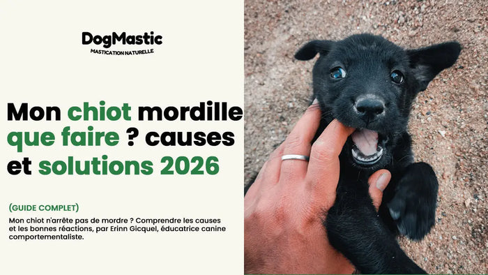 mon chiot n'arrête pas de mordre