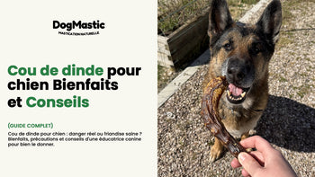 Cou de dinde pour chien