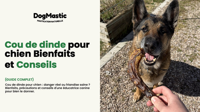 Cou de dinde pour chien
