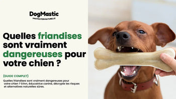 friandise pour chien danger