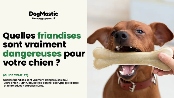 friandise pour chien danger