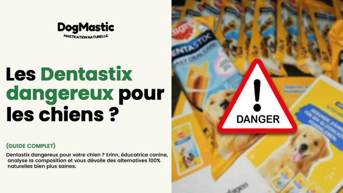 dentastix chien danger