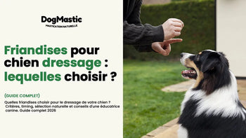 friandises pour chien dressage
