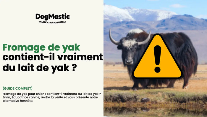 fromage de yak