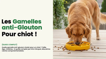 gamelle anti glouton chiot
