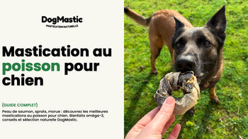 chien qui mastique un donuts de morue naturelle - mastication poisson chien
