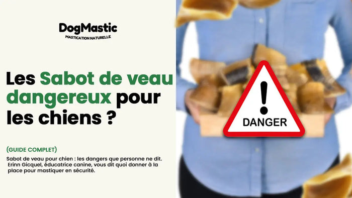 sabot de veau pour chien danger