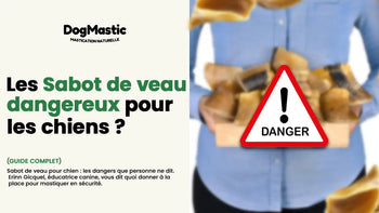sabot de veau pour chien danger