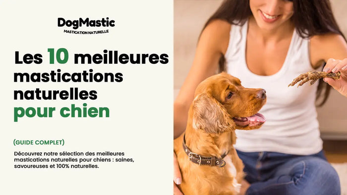 Les 10 meilleures mastications naturelles pour chien - Guide complet DogMastic