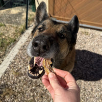 Ailes de poulet 200 G DogMastic