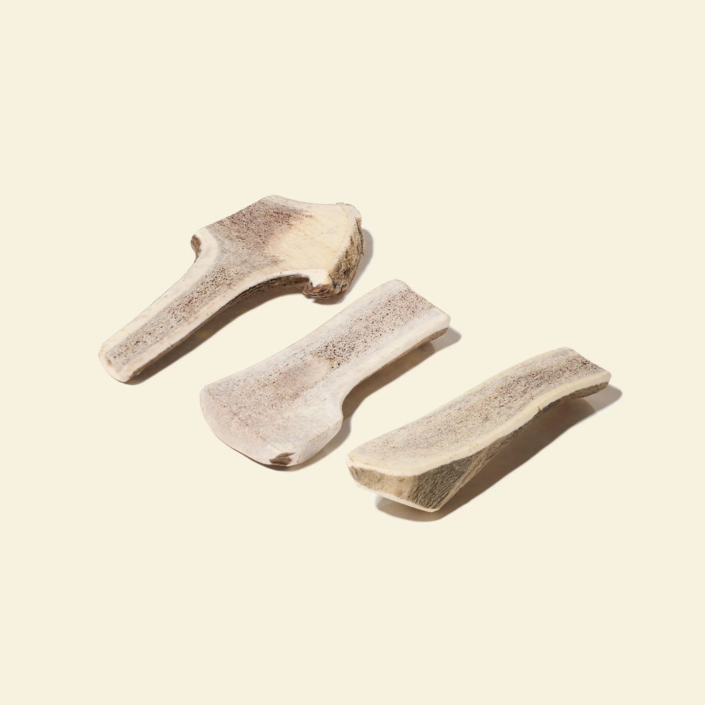 bois de cerf fendu naturel pour chien