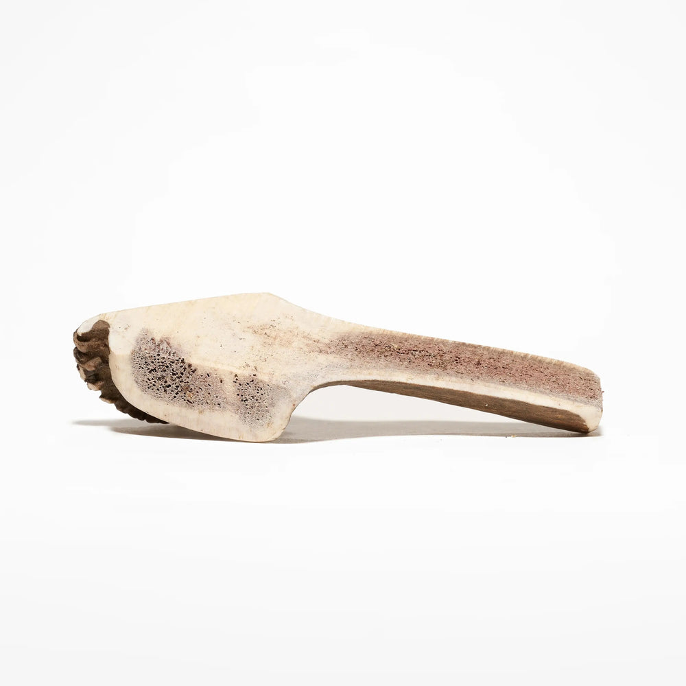 bois de cerf fendu naturel pour chien