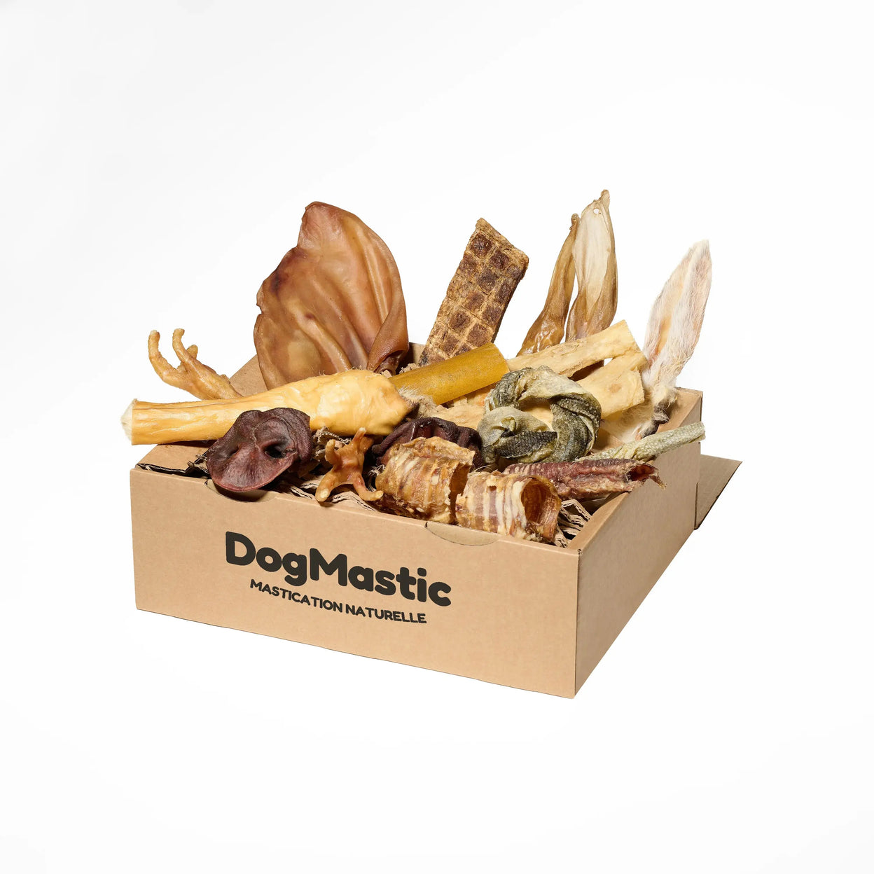 Box chiot/petit chien