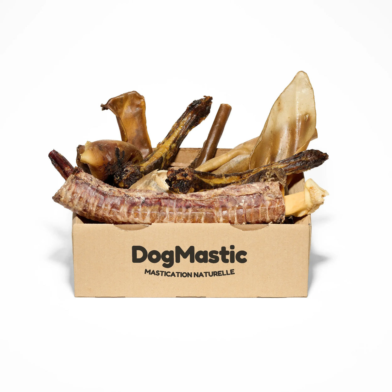 Box grand masticateur