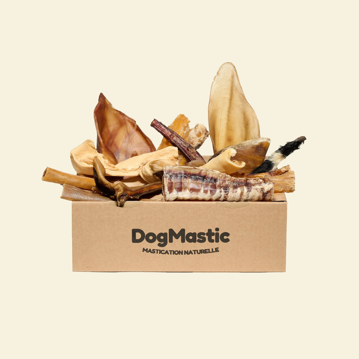 Box de mastication pour chien moyen