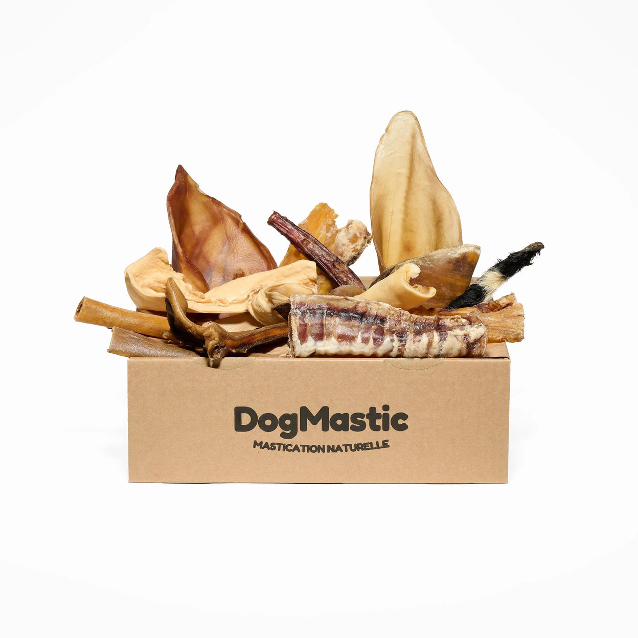 Box de mastication pour chien moyen