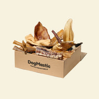Box de mastication pour chien moyen