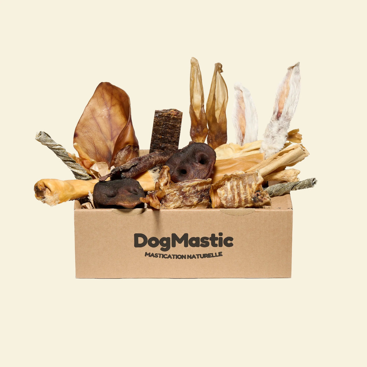 box chiot et petit chien avec friandises pour chien