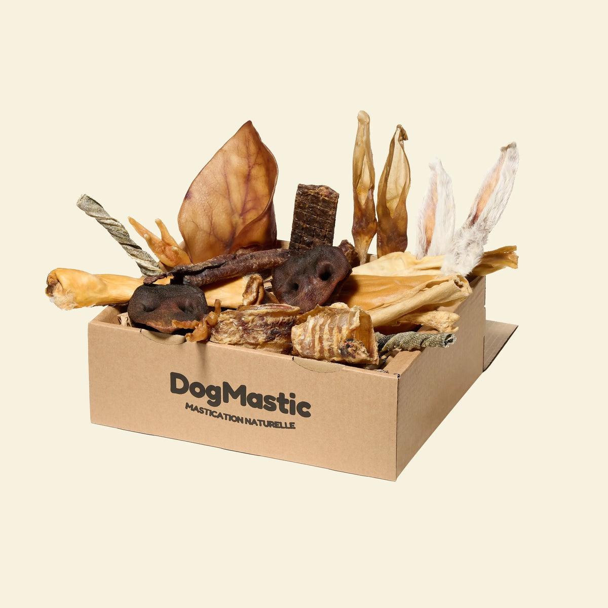 box chiot et petit chien avec friandises pour chien