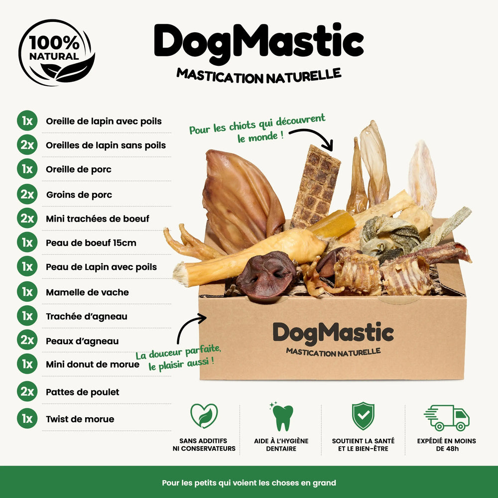 box chiot et petit chien avec friandises pour chien
