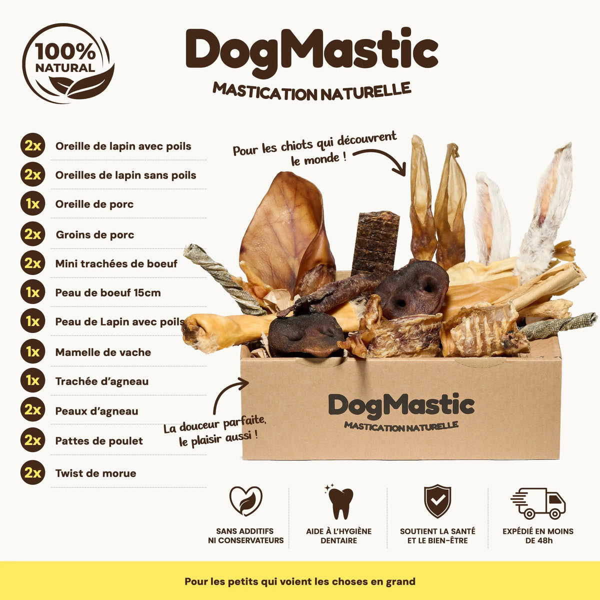 box chiot et petit chien avec friandises pour chien