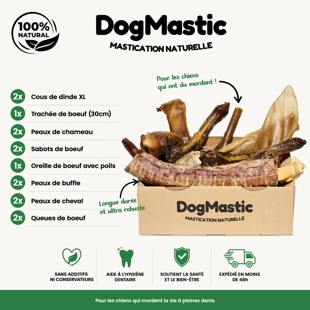 Box grand masticateur