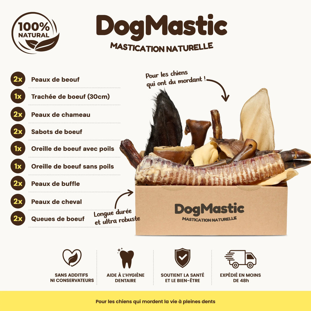 Box de mastication pour grand masticateur 
