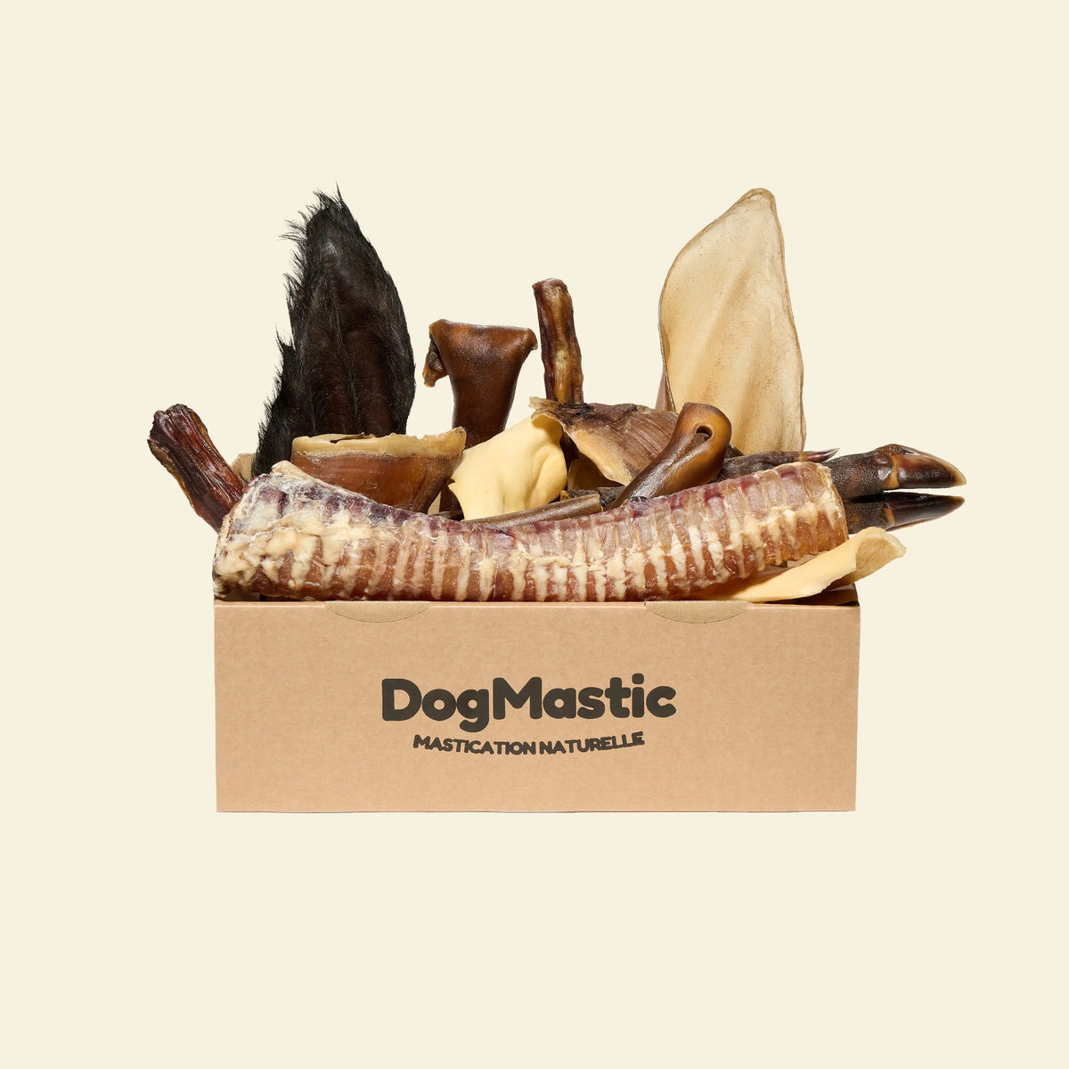 Box de mastication pour grand masticateur 
