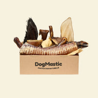 Box de mastication pour grand masticateur 