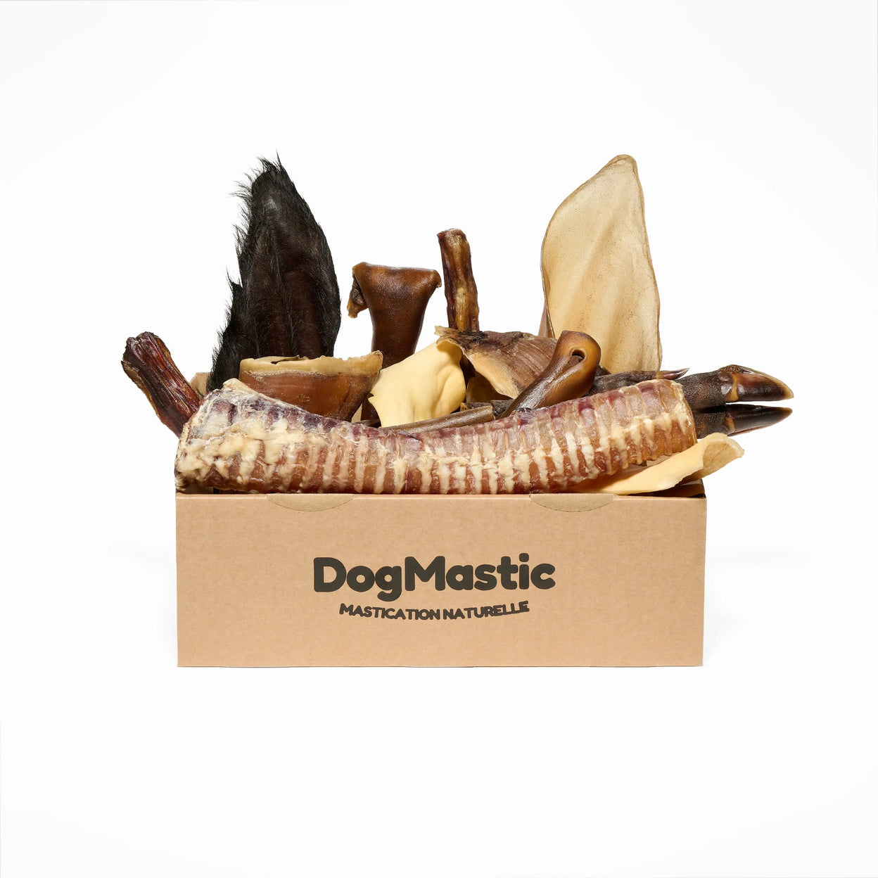Box de mastication pour grand masticateur 