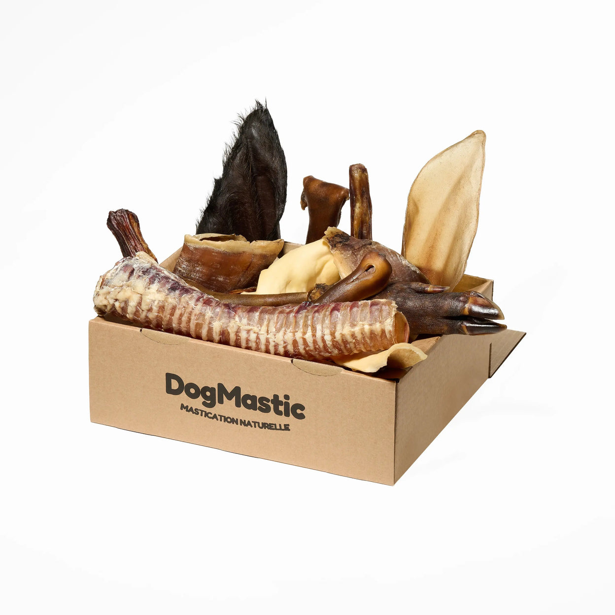 Box de mastication pour grand masticateur 