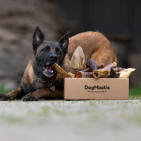 Box de mastication pour grand masticateur 