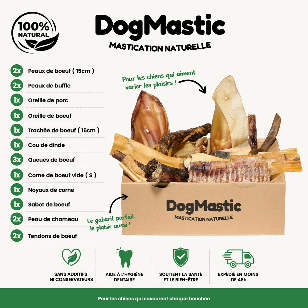 box grand masticateur avec friandises pour chien