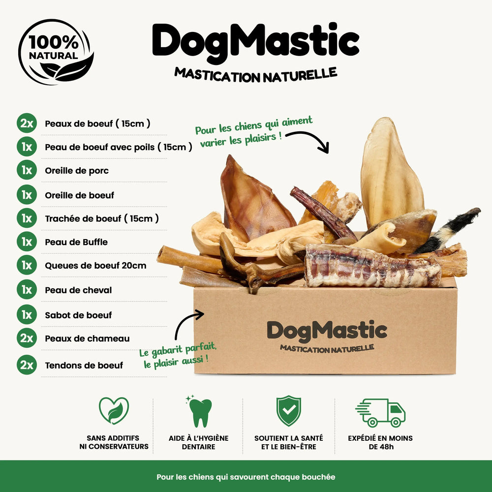 Box de mastication pour chien moyen