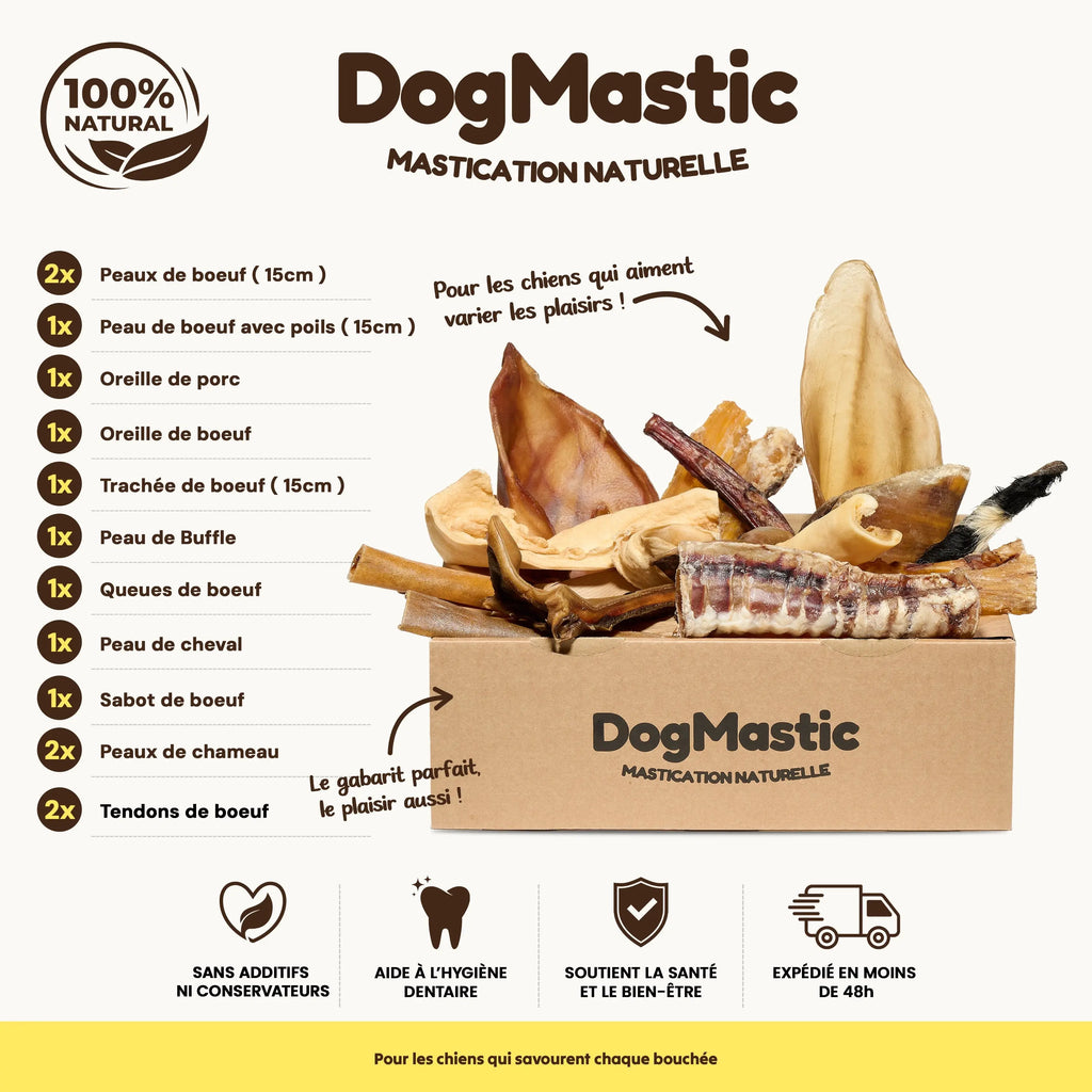 Box de mastication pour chien moyen