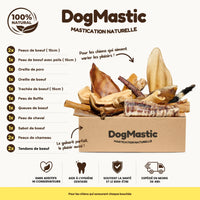 Box de mastication pour chien moyen