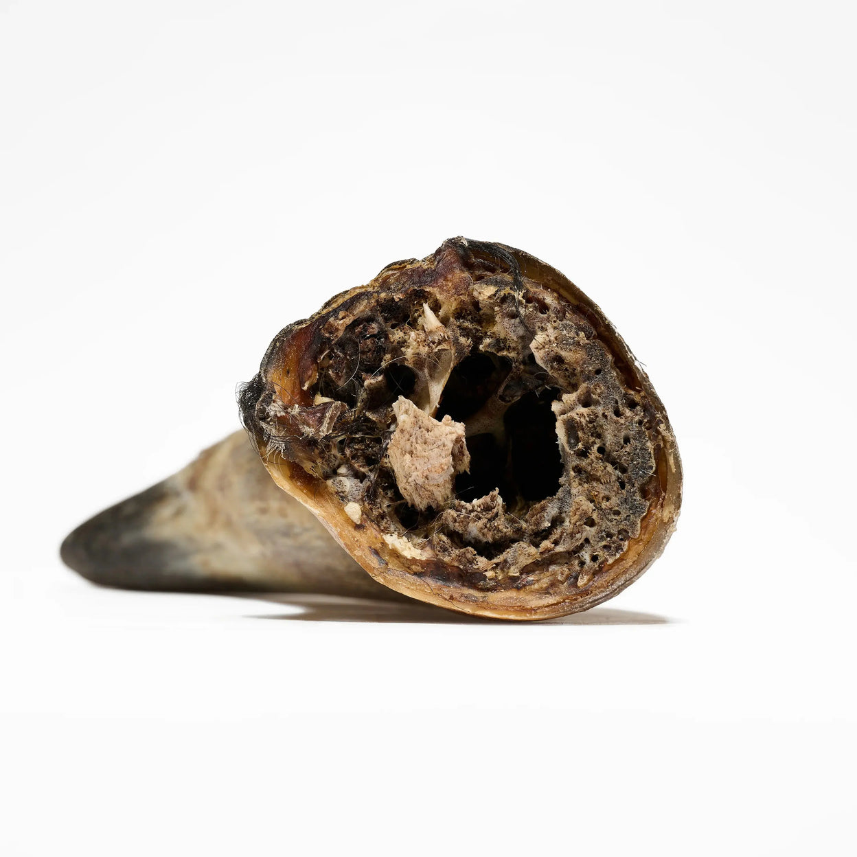 corne de bœuf naturelle pour chien texture dure