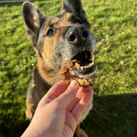 Cou de poulet pour chien, friandise de mastication naturelle