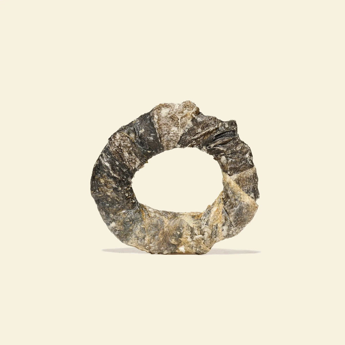 donut de morue pour chien