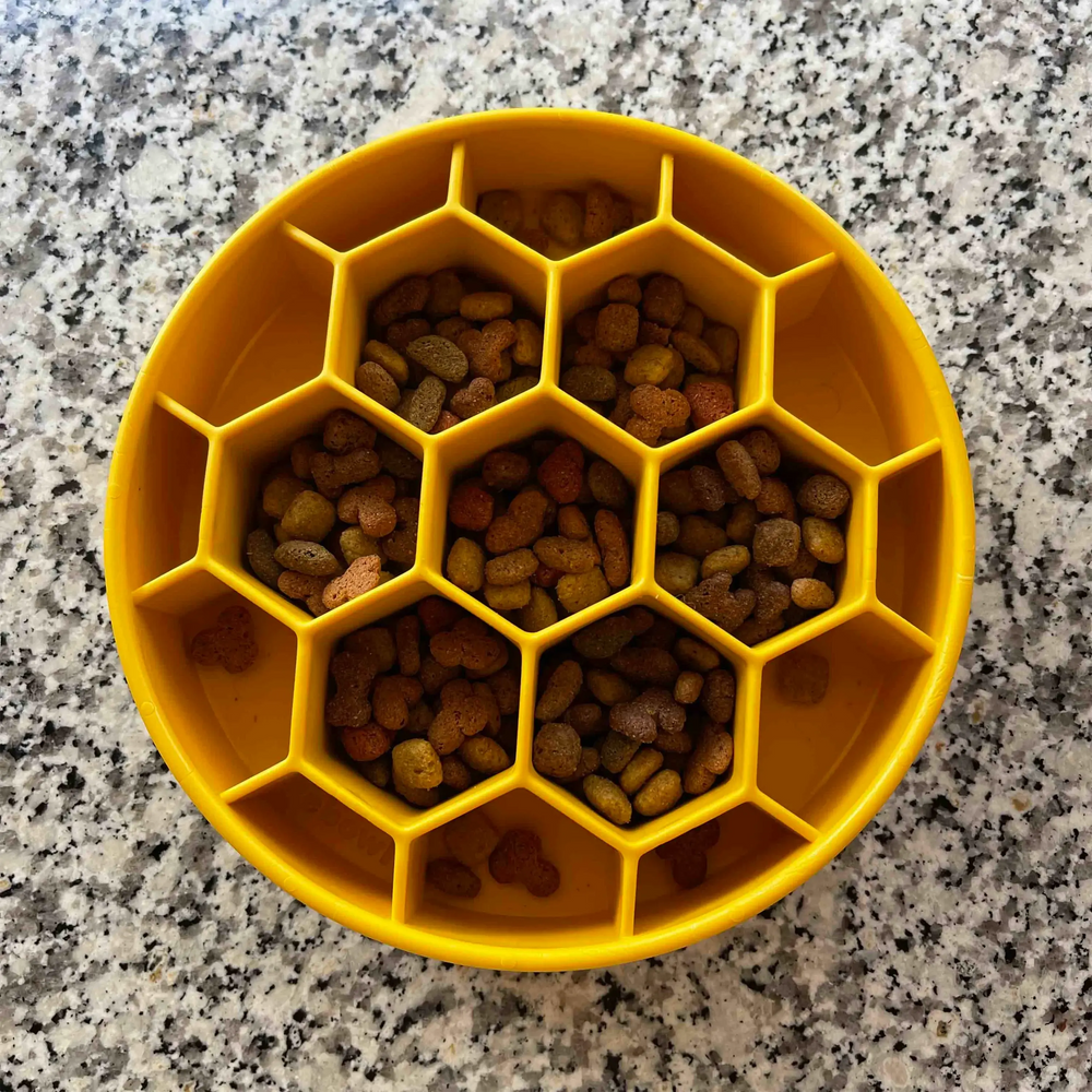 Gamelle anti-glouton pour chien