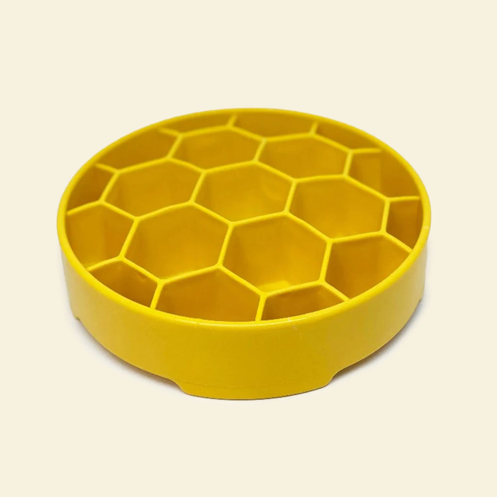 Gamelle anti-glouton pour chien