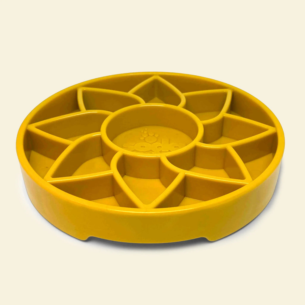 Gamelle anti-glouton pour chien
