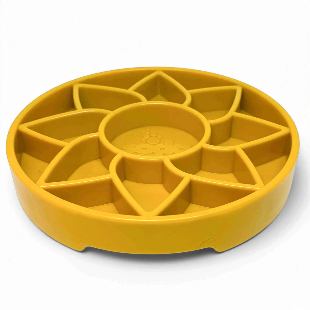 Gamelle anti-glouton pour chien