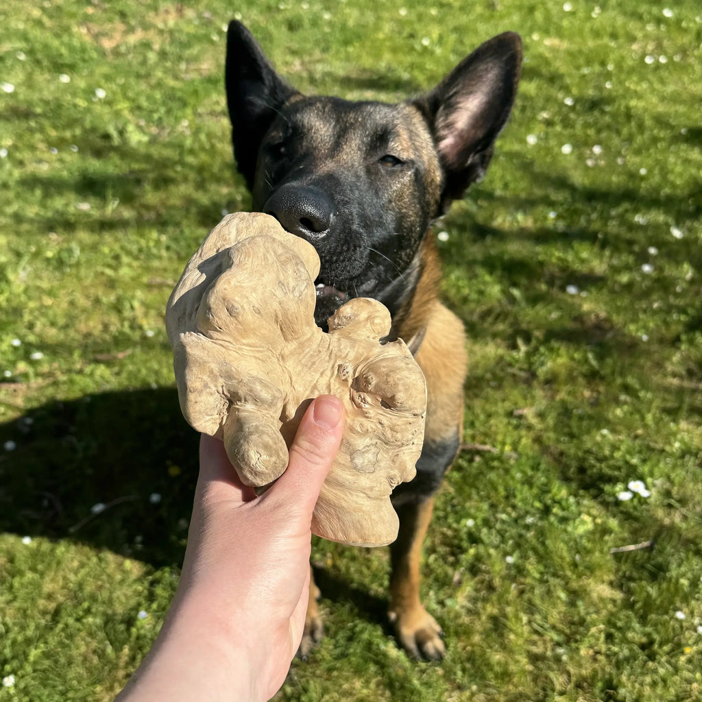 Gorilla wood DogMastic