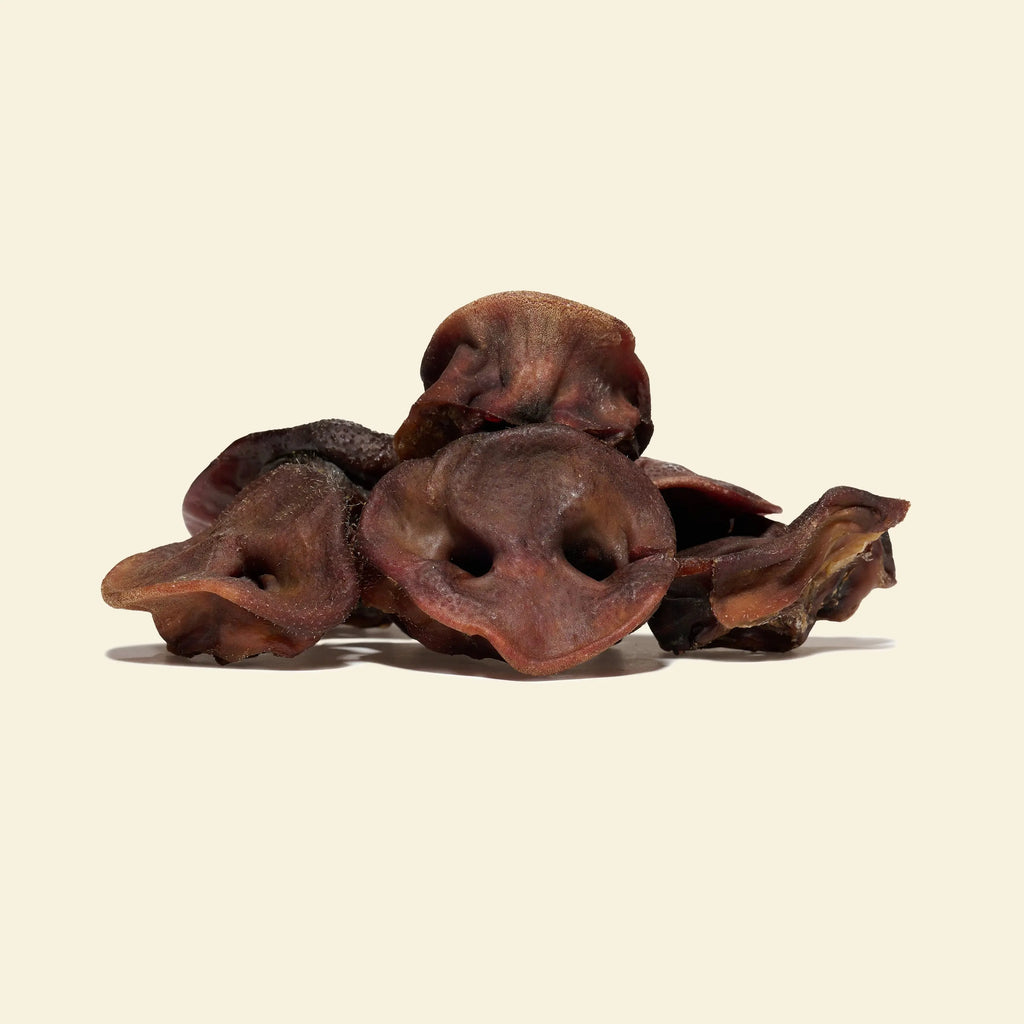 Groin de porc pour chien, friandise de mastication naturelle