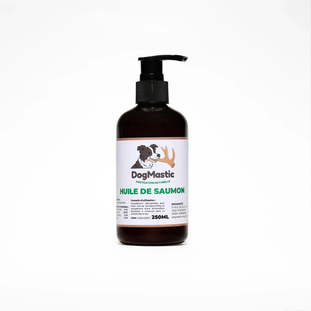 huile de saumon pour chien complément alimentaire naturel